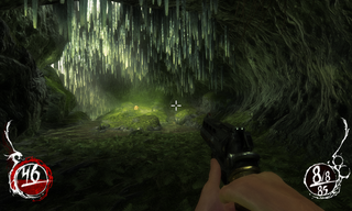 Shadow Warrior